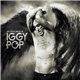 Iggy Pop - The Many Faces Of Iggy Pop (A Journey Through The Inner World Of Iggy Pop)